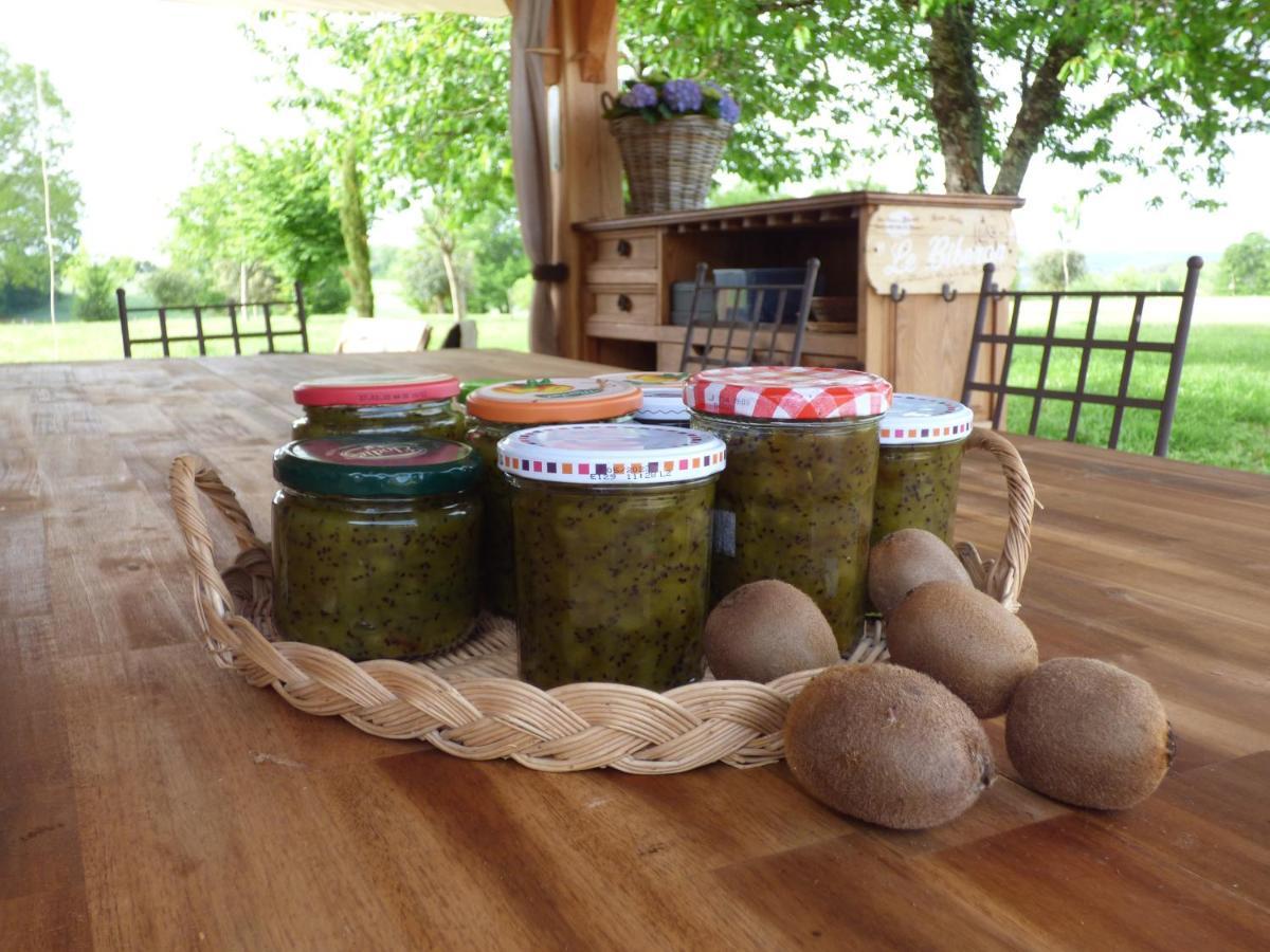 Britavit Bed & Breakfast Saint-Avit-Sénieur Екстериор снимка
