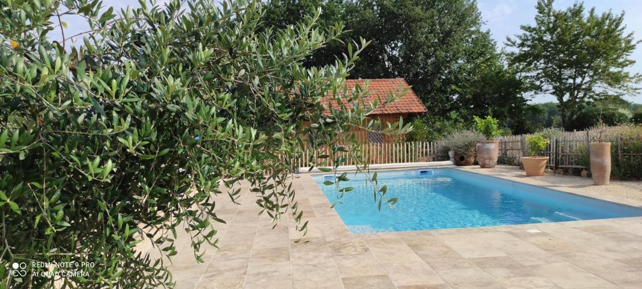 Britavit Bed & Breakfast Saint-Avit-Sénieur Екстериор снимка