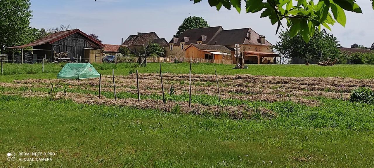 Britavit Bed & Breakfast Saint-Avit-Sénieur Екстериор снимка